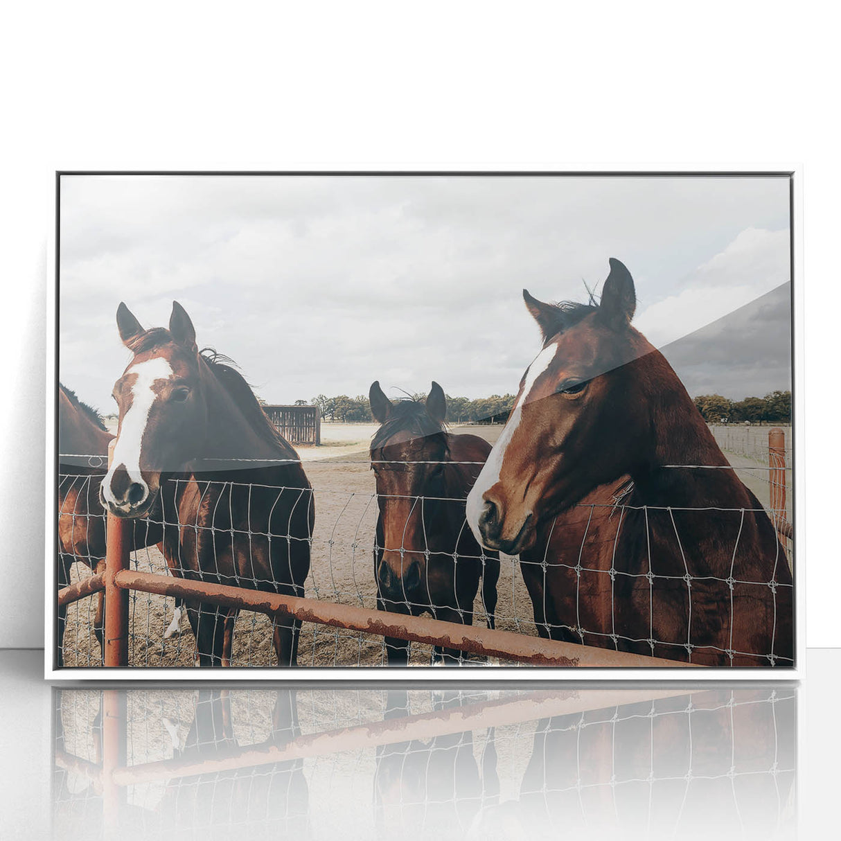 Horses at the Fence Farmhouse Wall Art – Rustic Country Style Print