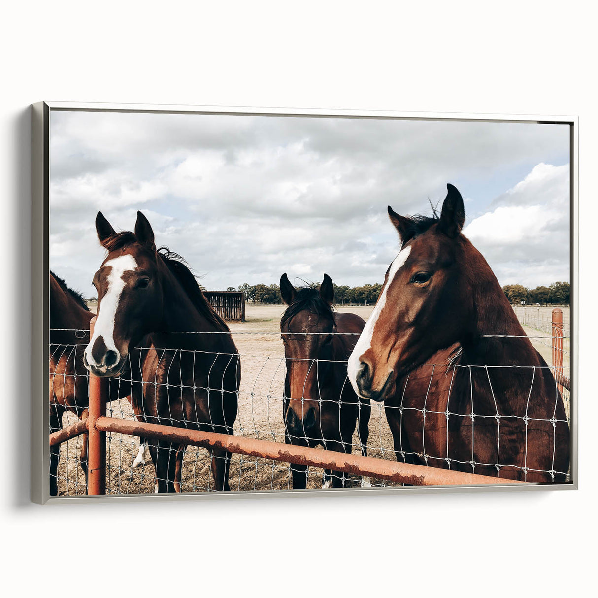 Horses at the Fence Farmhouse Wall Art – Rustic Country Style Print