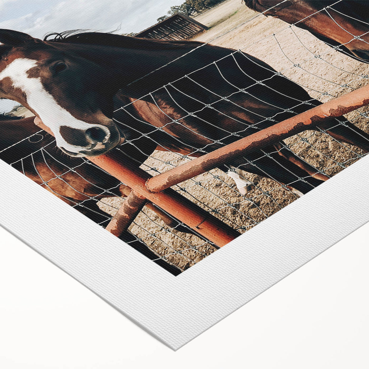 Horses at the Fence Farmhouse Wall Art – Rustic Country Style Print
