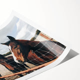 Horses at the Fence Farmhouse Wall Art – Rustic Country Style Print