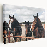 Horses at the Fence Farmhouse Wall Art – Rustic Country Style Print