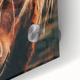 Farmhouse Wall Art - Pony with Flowing Mane Rustic Country Style Decor