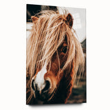 Farmhouse Wall Art - Pony with Flowing Mane Rustic Country Style Decor