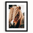 Farmhouse Wall Art - Pony with Flowing Mane Rustic Country Style Decor