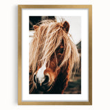 Farmhouse Wall Art - Pony with Flowing Mane Rustic Country Style Decor