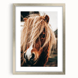 Farmhouse Wall Art - Pony with Flowing Mane Rustic Country Style Decor