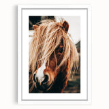 Farmhouse Wall Art - Pony with Flowing Mane Rustic Country Style Decor