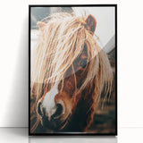 Farmhouse Wall Art - Pony with Flowing Mane Rustic Country Style Decor