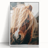 Farmhouse Wall Art - Pony with Flowing Mane Rustic Country Style Decor