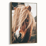 Farmhouse Wall Art - Pony with Flowing Mane Rustic Country Style Decor