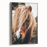 Farmhouse Wall Art - Pony with Flowing Mane Rustic Country Style Decor