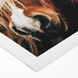 Farmhouse Wall Art - Pony with Flowing Mane Rustic Country Style Decor