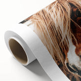 Farmhouse Wall Art - Pony with Flowing Mane Rustic Country Style Decor