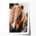 Farmhouse Wall Art - Pony with Flowing Mane Rustic Country Style Decor