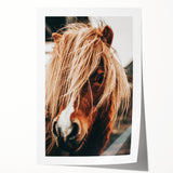 Farmhouse Wall Art - Pony with Flowing Mane Rustic Country Style Decor