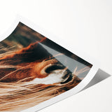 Farmhouse Wall Art - Pony with Flowing Mane Rustic Country Style Decor