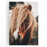 Farmhouse Wall Art - Pony with Flowing Mane Rustic Country Style Decor