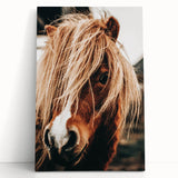 Farmhouse Wall Art - Pony with Flowing Mane Rustic Country Style Decor