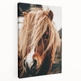 Farmhouse Wall Art - Pony with Flowing Mane Rustic Country Style Decor