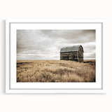 Rustic Farmhouse Wall Art: Abandoned Barn in Field - Country Style Decor