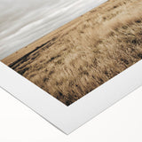 Rustic Farmhouse Wall Art: Abandoned Barn in Field - Country Style Decor