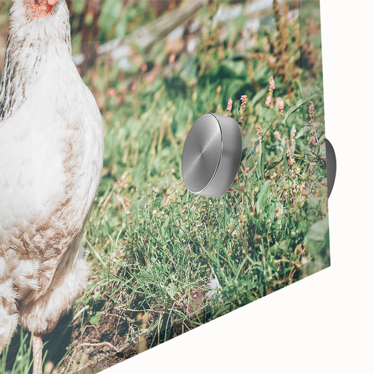 Farmhouse Wall Art: Country Chickens in Garden - Rustic Farmhouse Decor