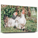Farmhouse Wall Art: Country Chickens in Garden - Rustic Farmhouse Decor