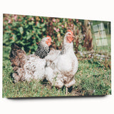 Farmhouse Wall Art: Country Chickens in Garden - Rustic Farmhouse Decor