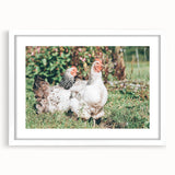 Farmhouse Wall Art: Country Chickens in Garden - Rustic Farmhouse Decor