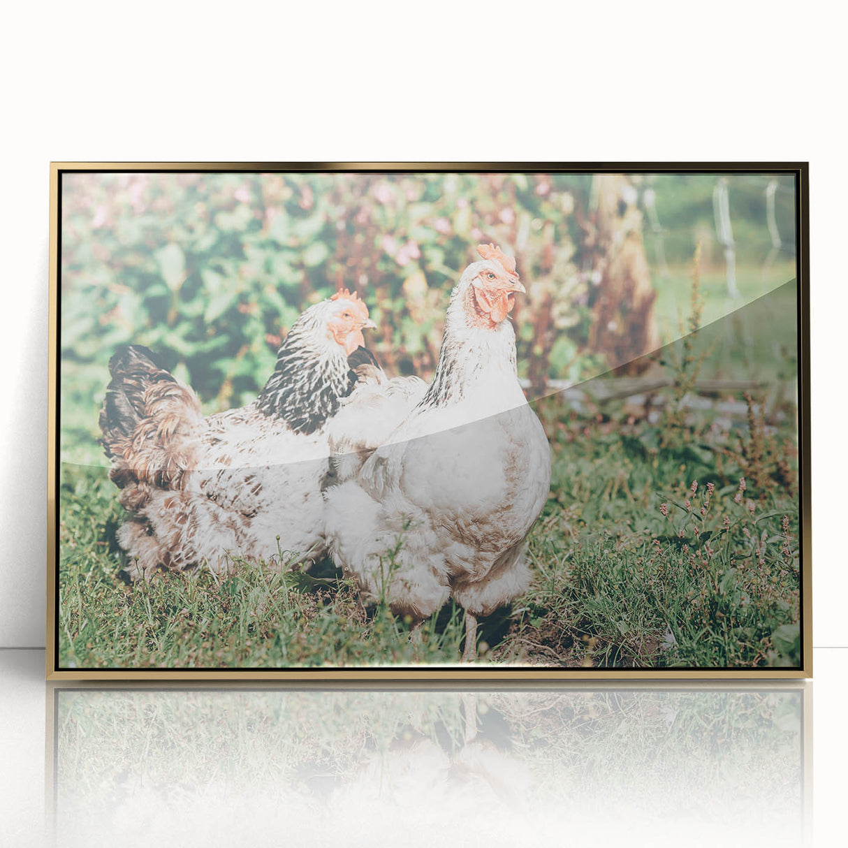 Farmhouse Wall Art: Country Chickens in Garden - Rustic Farmhouse Decor