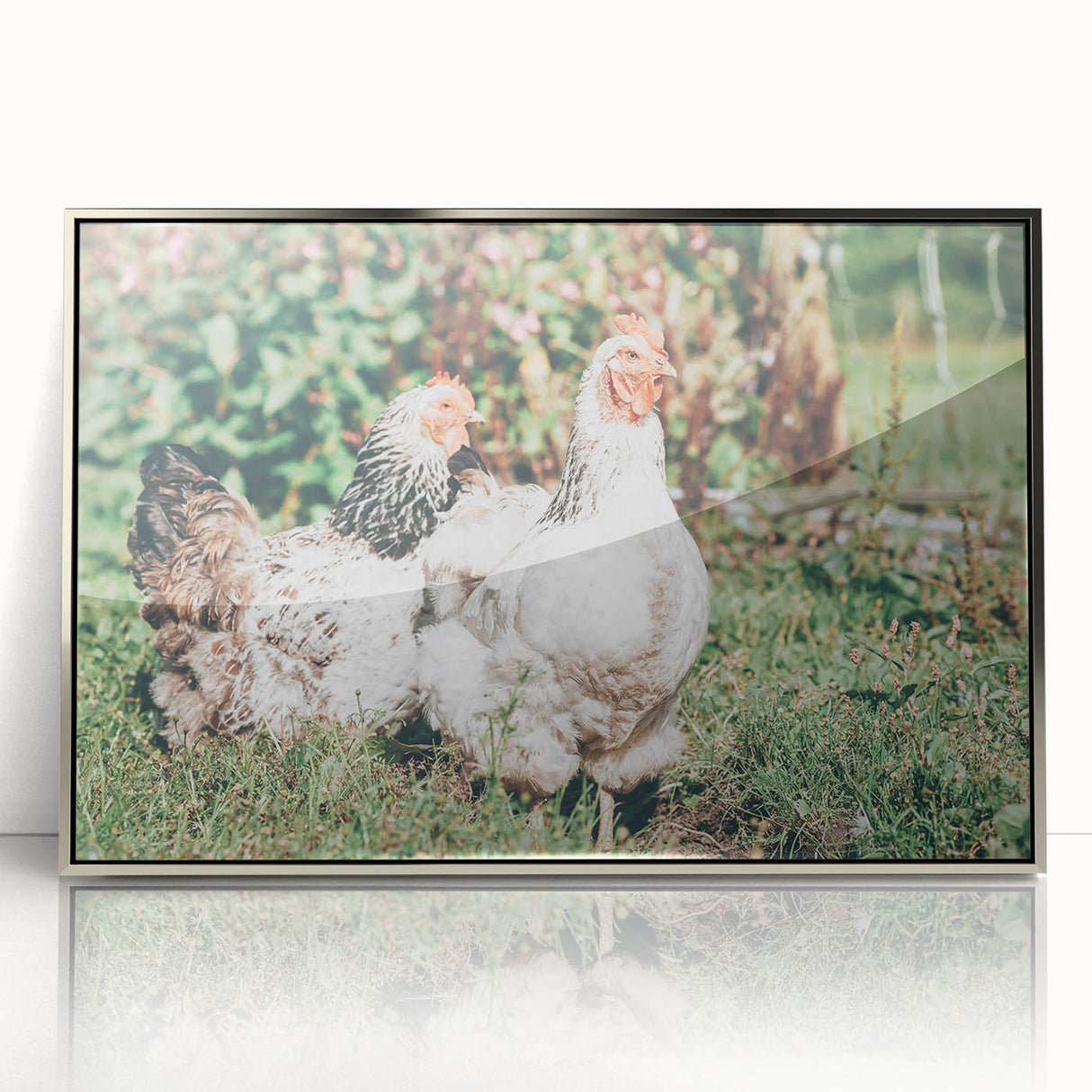Farmhouse Wall Art: Country Chickens in Garden - Rustic Farmhouse Decor