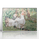 Farmhouse Wall Art: Country Chickens in Garden - Rustic Farmhouse Decor