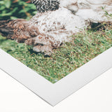 Farmhouse Wall Art: Country Chickens in Garden - Rustic Farmhouse Decor