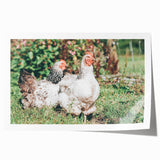 Farmhouse Wall Art: Country Chickens in Garden - Rustic Farmhouse Decor