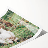 Farmhouse Wall Art: Country Chickens in Garden - Rustic Farmhouse Decor