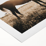 Farmhouse Wall Art - Rider on Horse at Sunset Rustic Country Style Decor