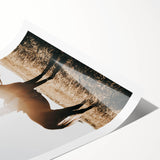 Farmhouse Wall Art - Rider on Horse at Sunset Rustic Country Style Decor