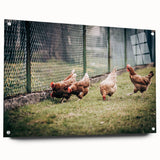 Farmhouse Wall Art: Chickens by Fence - Rustic Country Style Decor Print