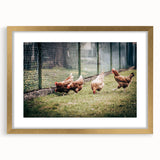 Farmhouse Wall Art: Chickens by Fence - Rustic Country Style Decor Print