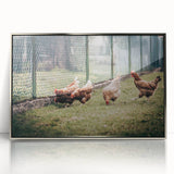 Farmhouse Wall Art: Chickens by Fence - Rustic Country Style Decor Print