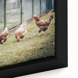 Farmhouse Wall Art: Chickens by Fence - Rustic Country Style Decor Print