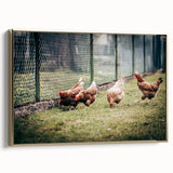 Farmhouse Wall Art: Chickens by Fence - Rustic Country Style Decor Print
