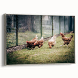 Farmhouse Wall Art: Chickens by Fence - Rustic Country Style Decor Print