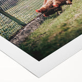 Farmhouse Wall Art: Chickens by Fence - Rustic Country Style Decor Print