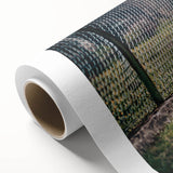 Farmhouse Wall Art: Chickens by Fence - Rustic Country Style Decor Print