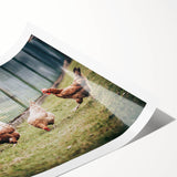 Farmhouse Wall Art: Chickens by Fence - Rustic Country Style Decor Print