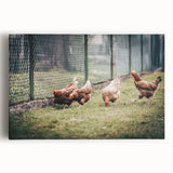 Farmhouse Wall Art: Chickens by Fence - Rustic Country Style Decor Print