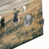 Farmhouse Wall Art: Cows in Pasture - Rustic Country Style Decor Print