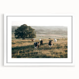 Farmhouse Wall Art: Cows in Pasture - Rustic Country Style Decor Print