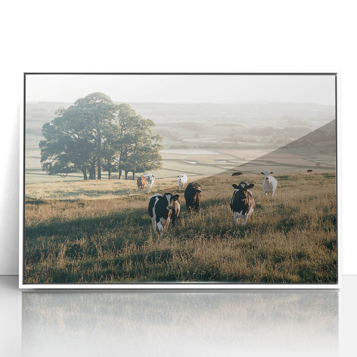 Farmhouse Wall Art: Cows in Pasture - Rustic Country Style Decor Print